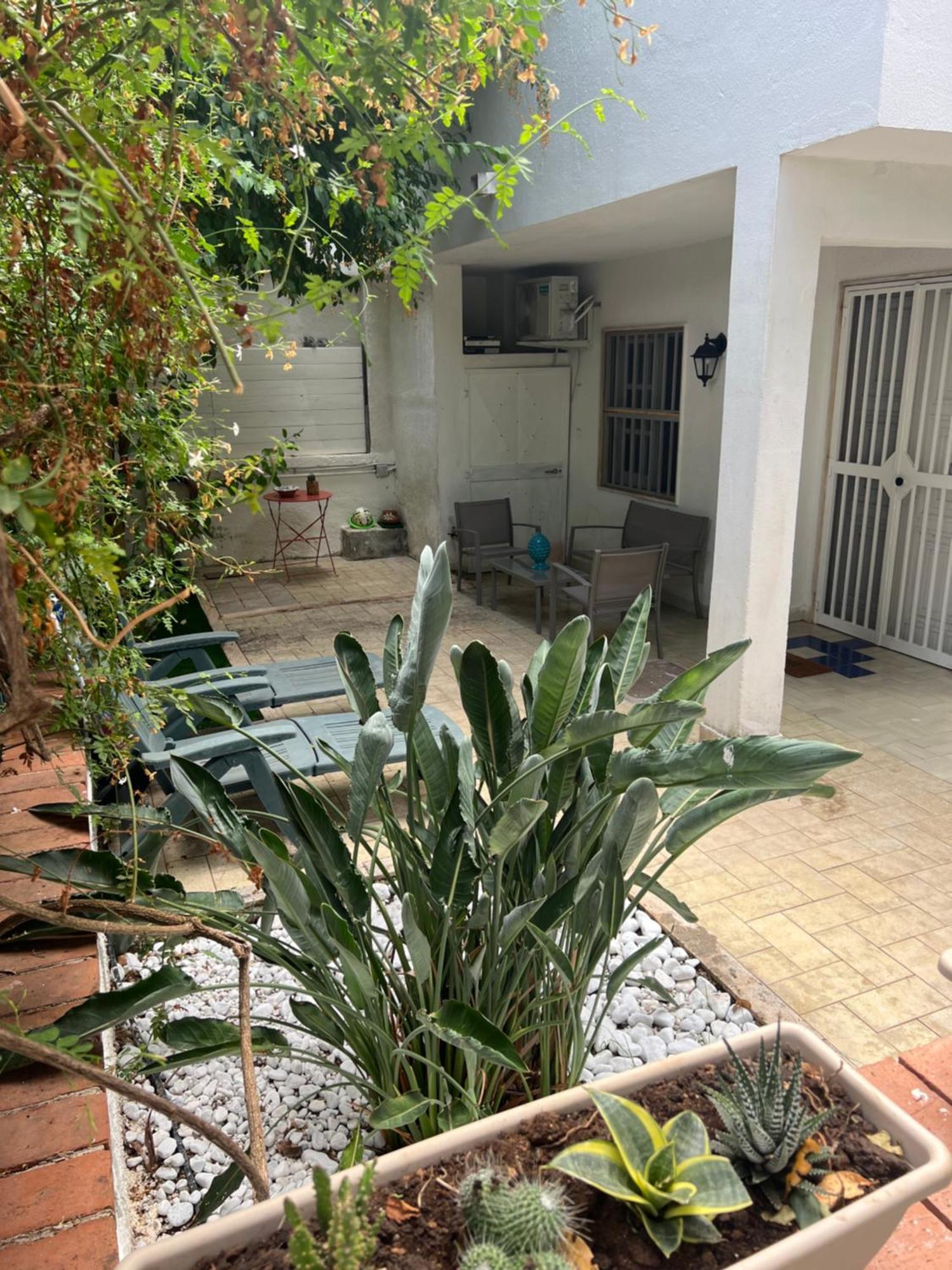 Villa Apollo Mondello Palermo Dış mekan fotoğraf